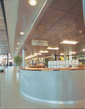 ��������� ������� LAUTEX � �������������